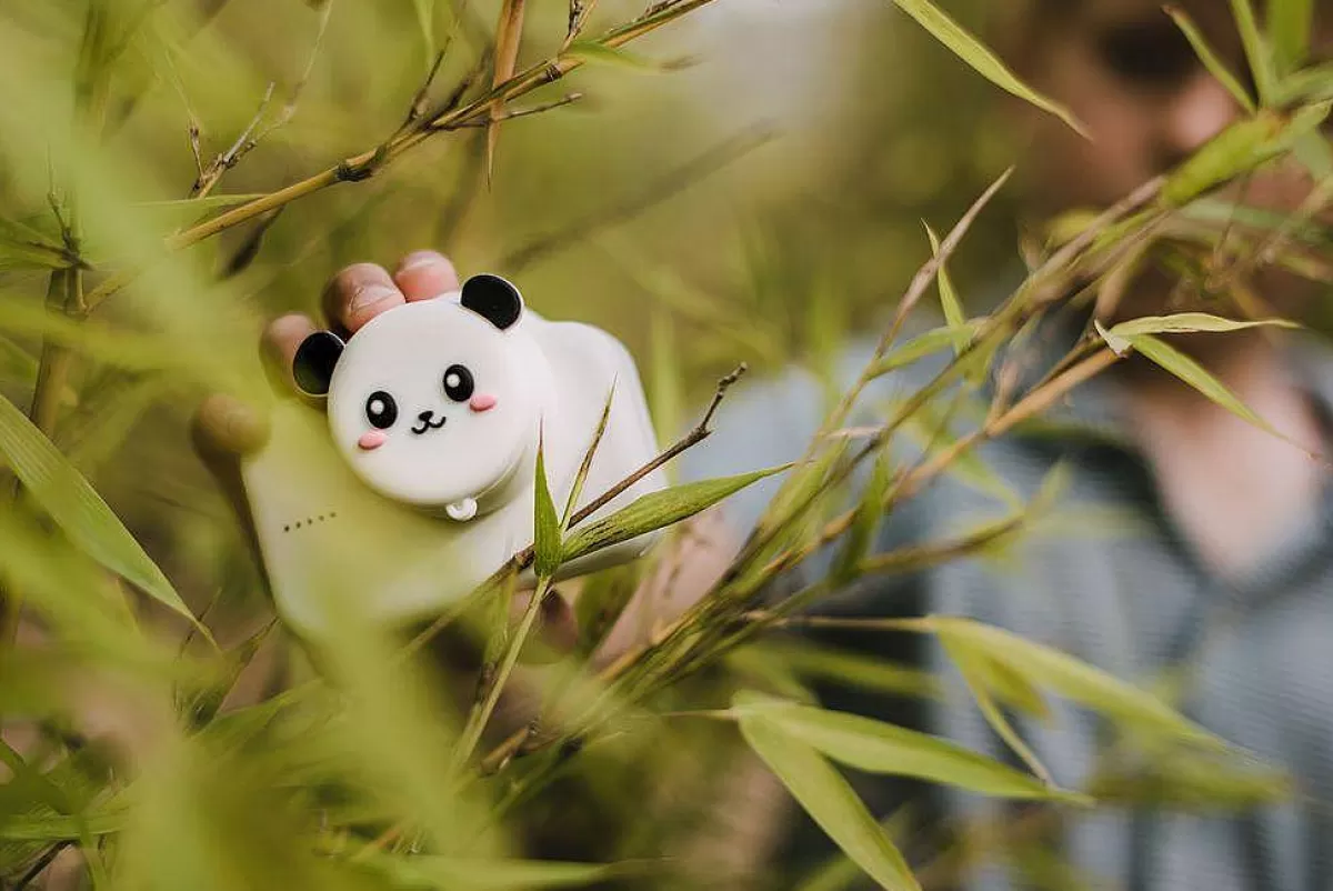 Caméra Mignon Roi Panda - Premier Appareil Photo Réel pour Petits Explorateurs (3-8 ans) - Design Ergonomique et Sécurisé - Découverte Créative en Plein Air - Zoofamily Édition Spéciale
