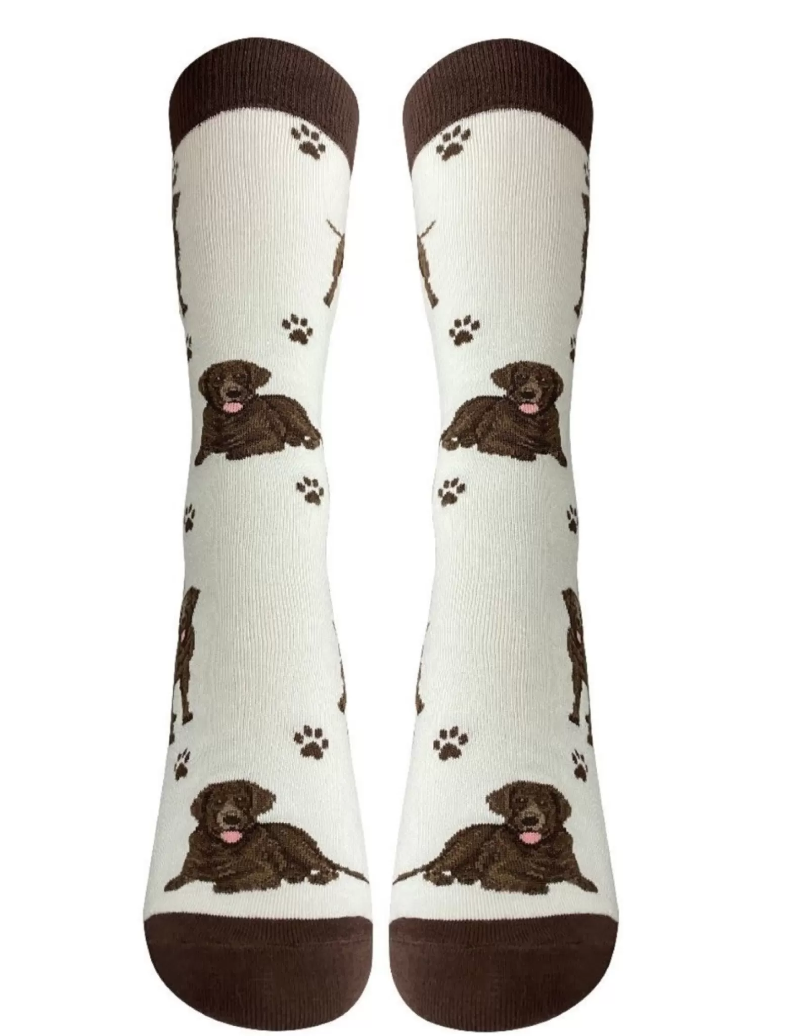 Chaussettes Confort E&S Pets - Labrador Chocolat Motif Intégral