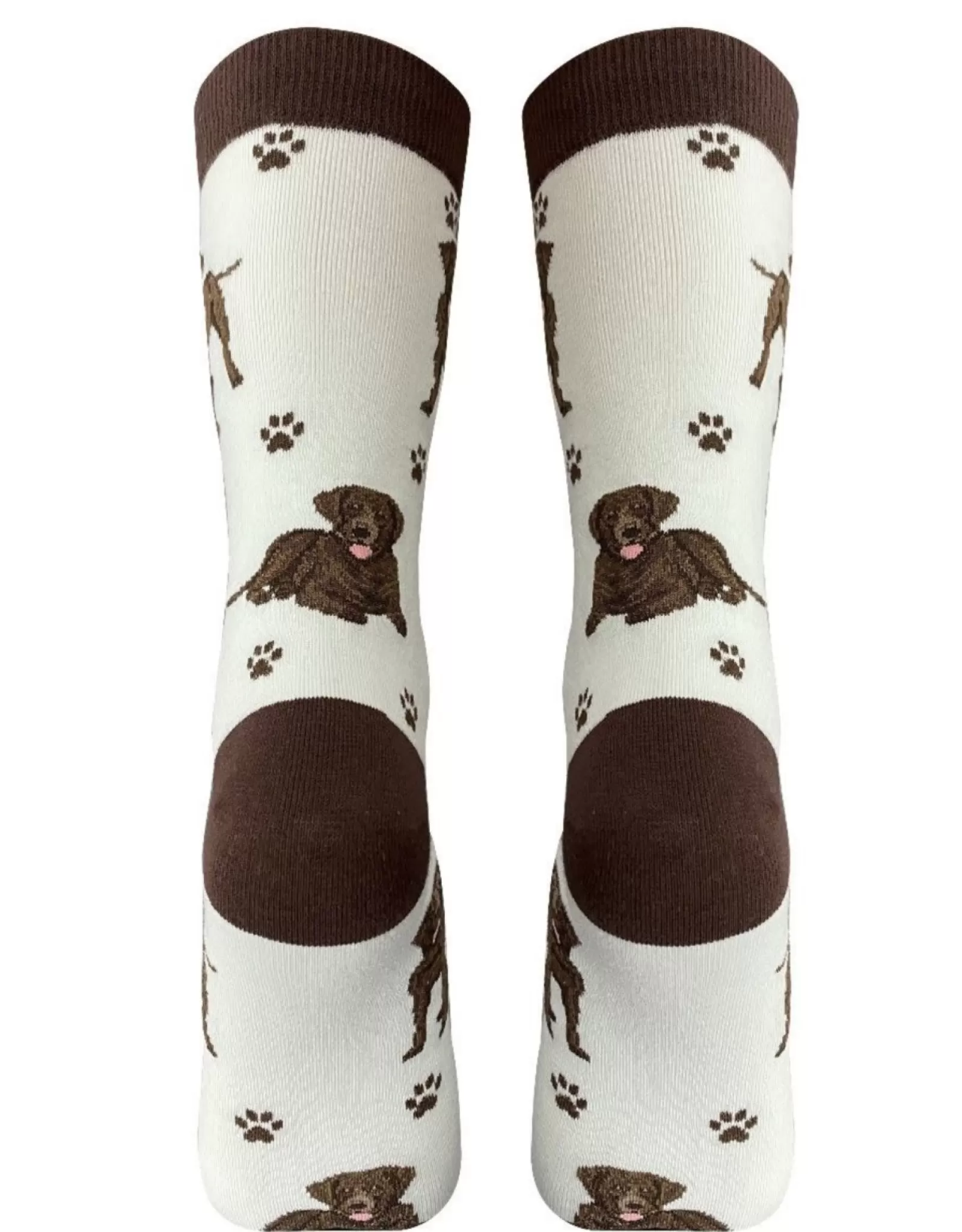 Chaussettes Confort E&S Pets - Labrador Chocolat Motif Intégral