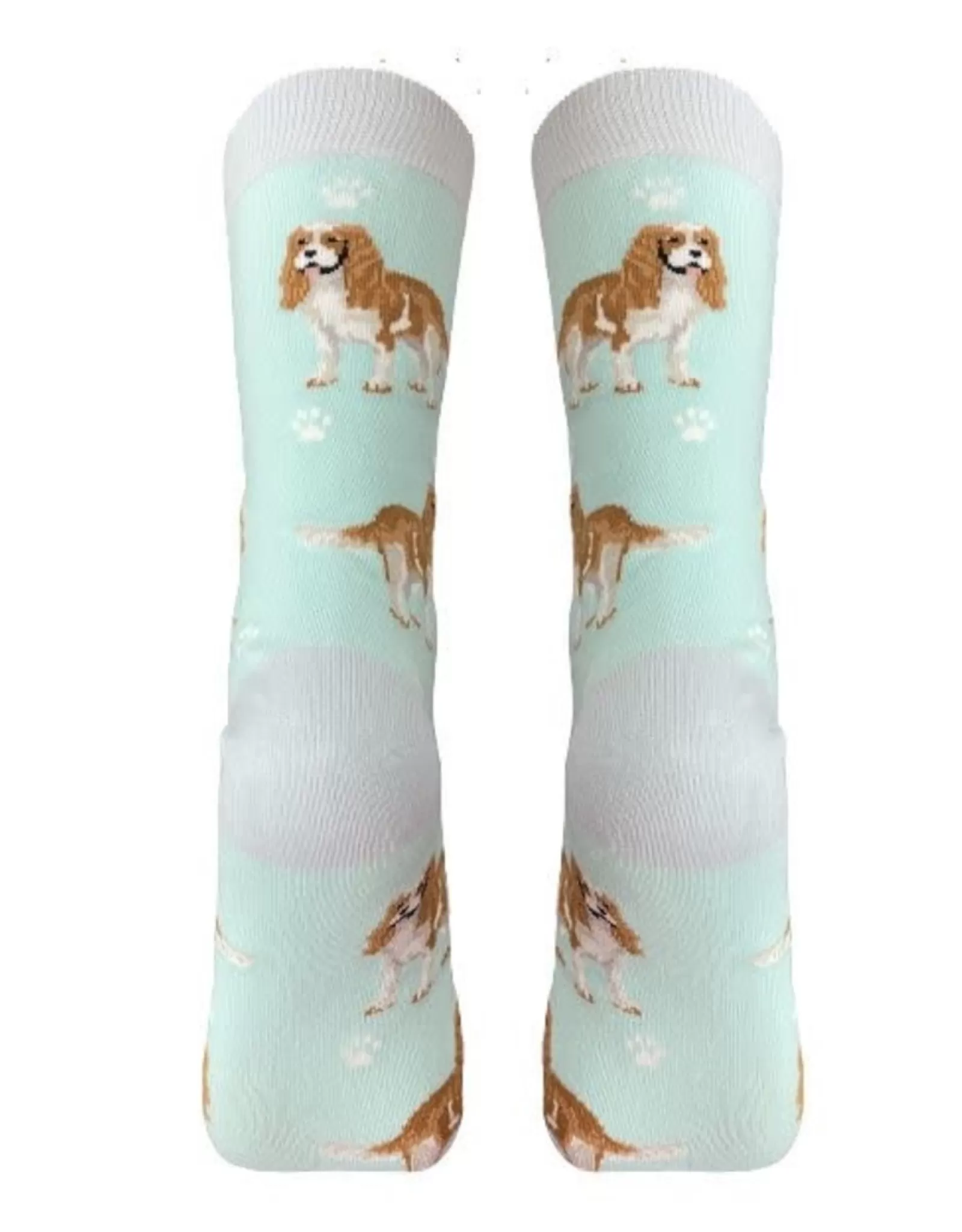 Chaussettes Confort Canin Intégrales Style Cavalier King Charles - Design Doux pour Animaux E&S Pets