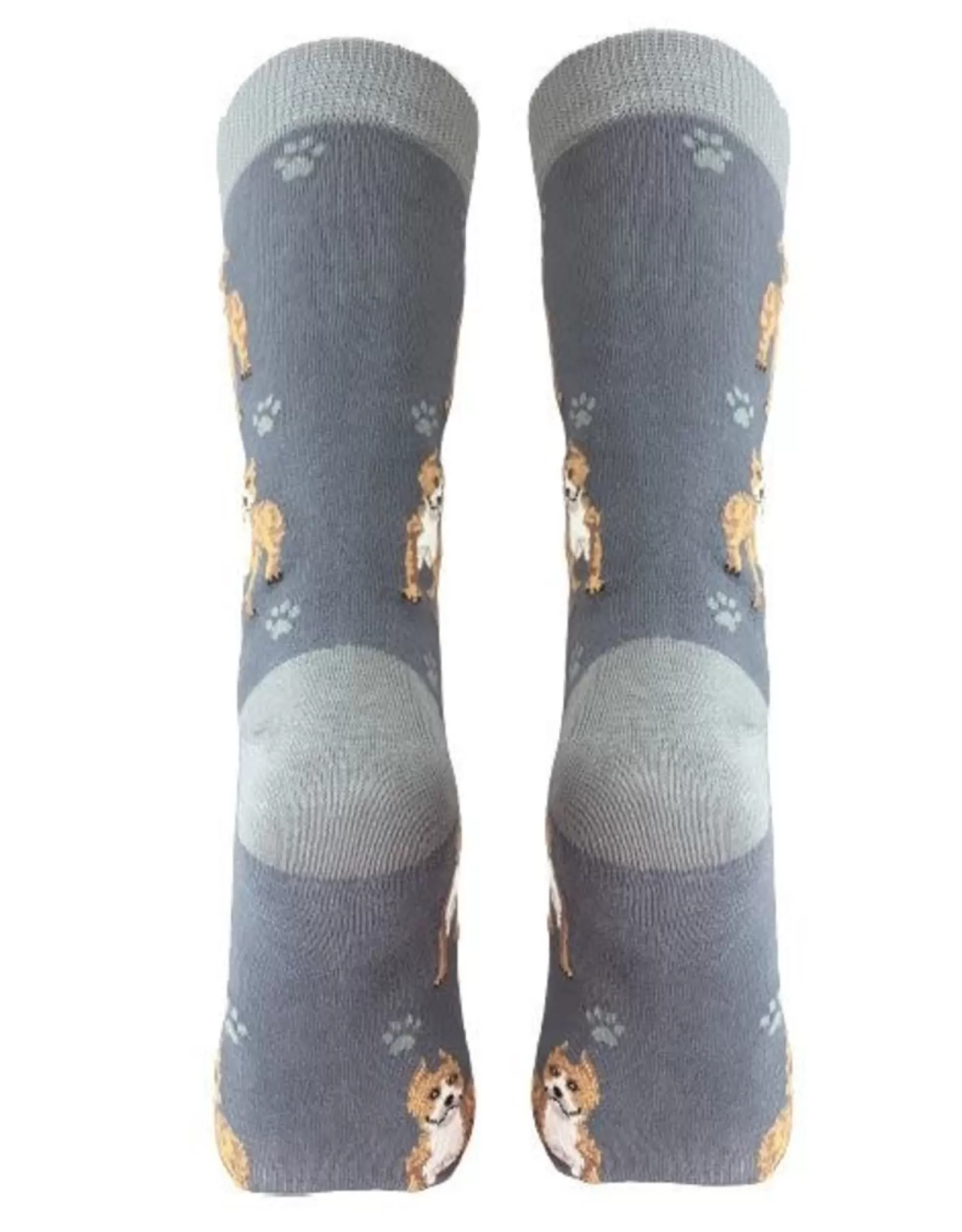 Chaussettes Confort Intégrales Pit Bull - Design Amusant pour Chiens - Collection E&S Pets