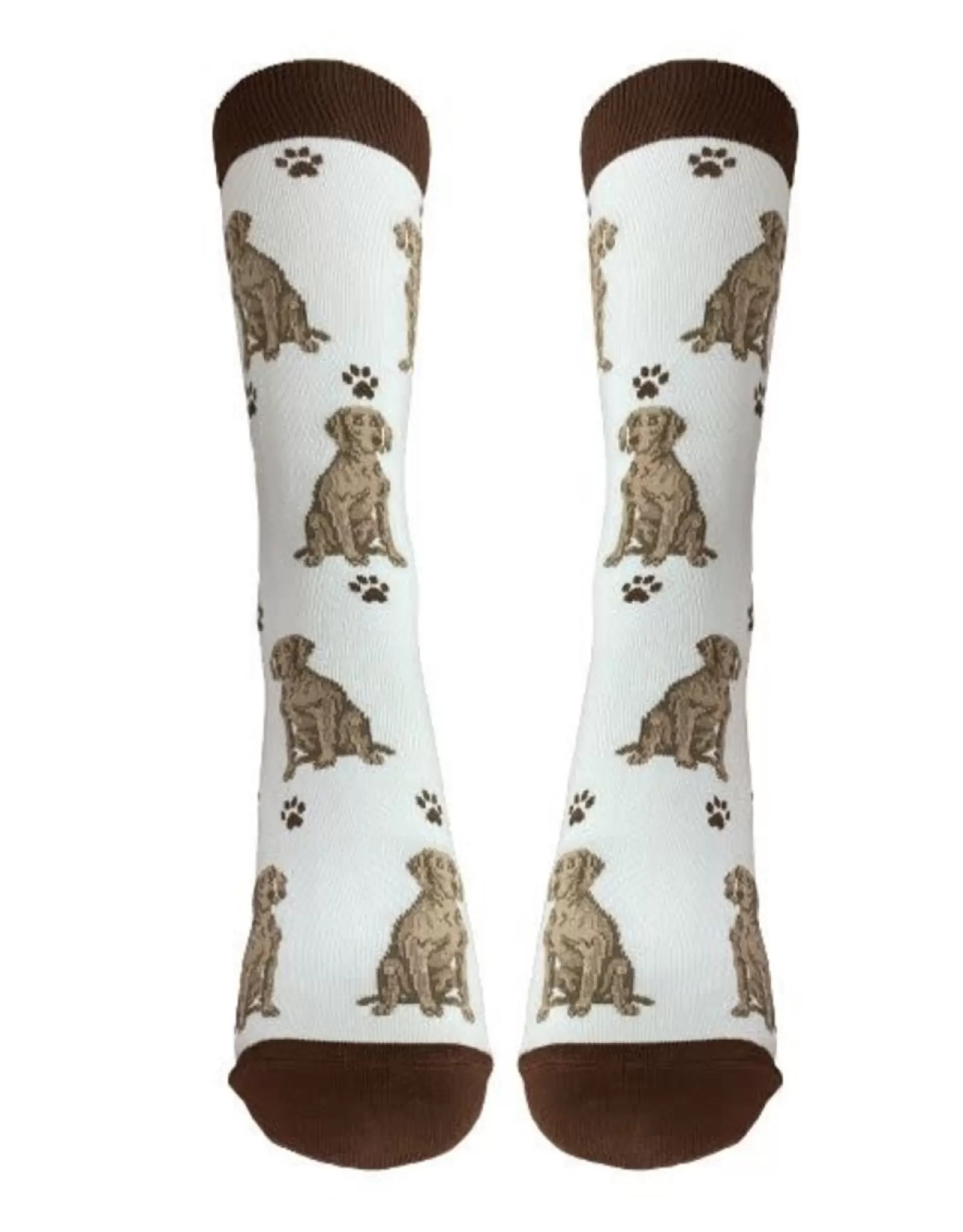 Chaussettes Weimaraner Confortables avec Motif Intégral - E&S Animaux