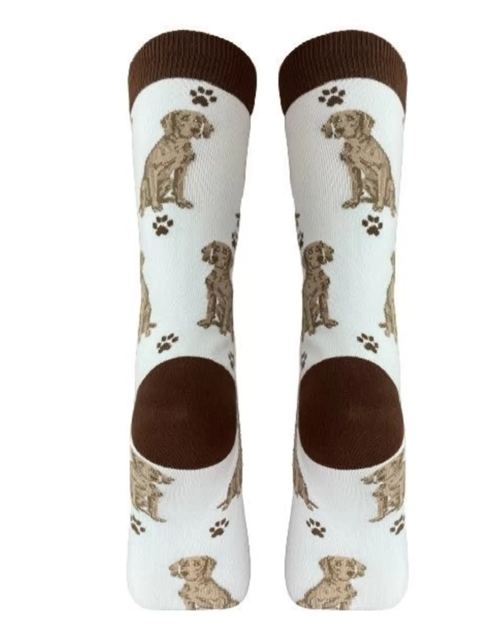 Chaussettes Weimaraner Confortables avec Motif Intégral - E&S Animaux