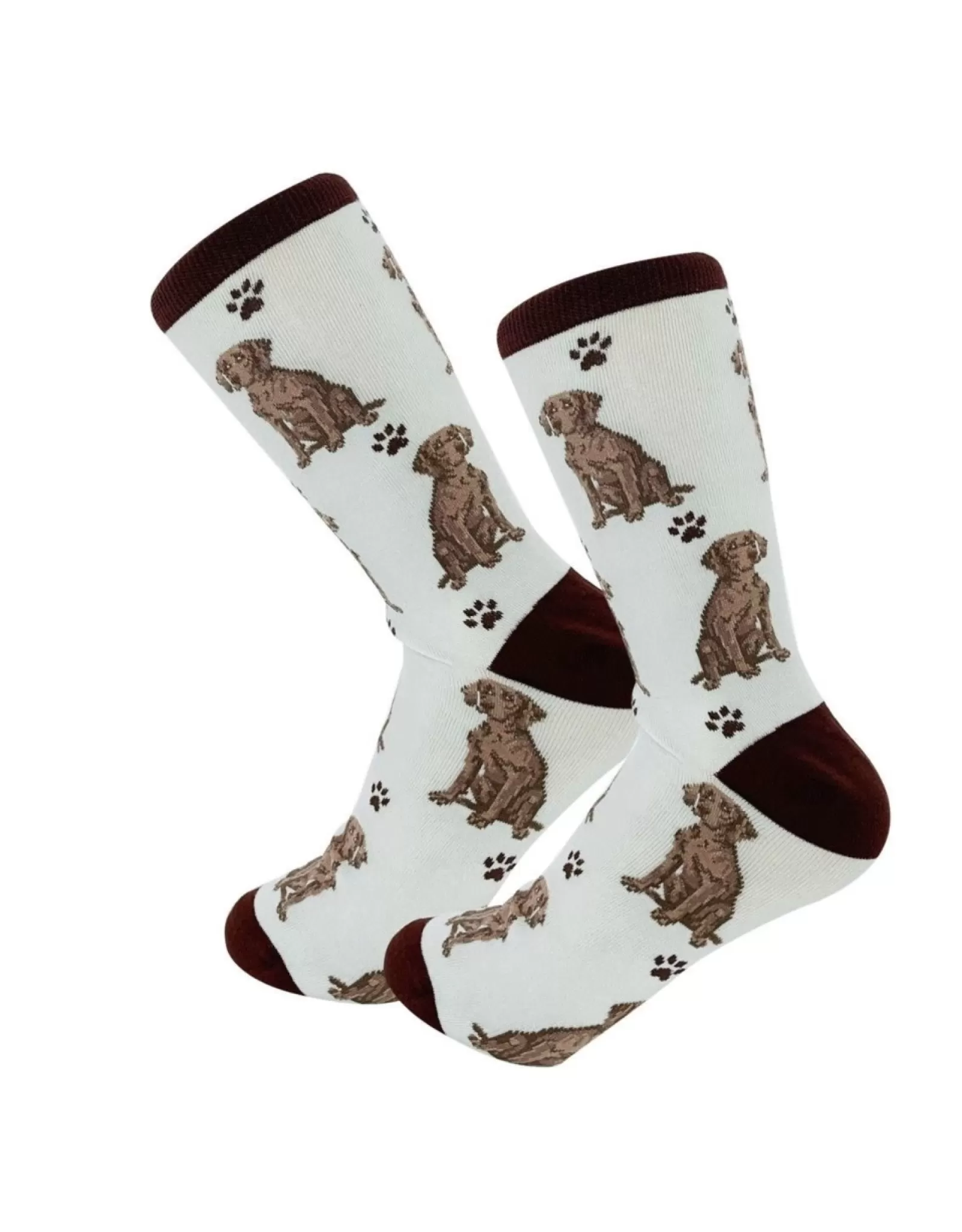 Chaussettes Weimaraner Confortables avec Motif Intégral - E&S Animaux