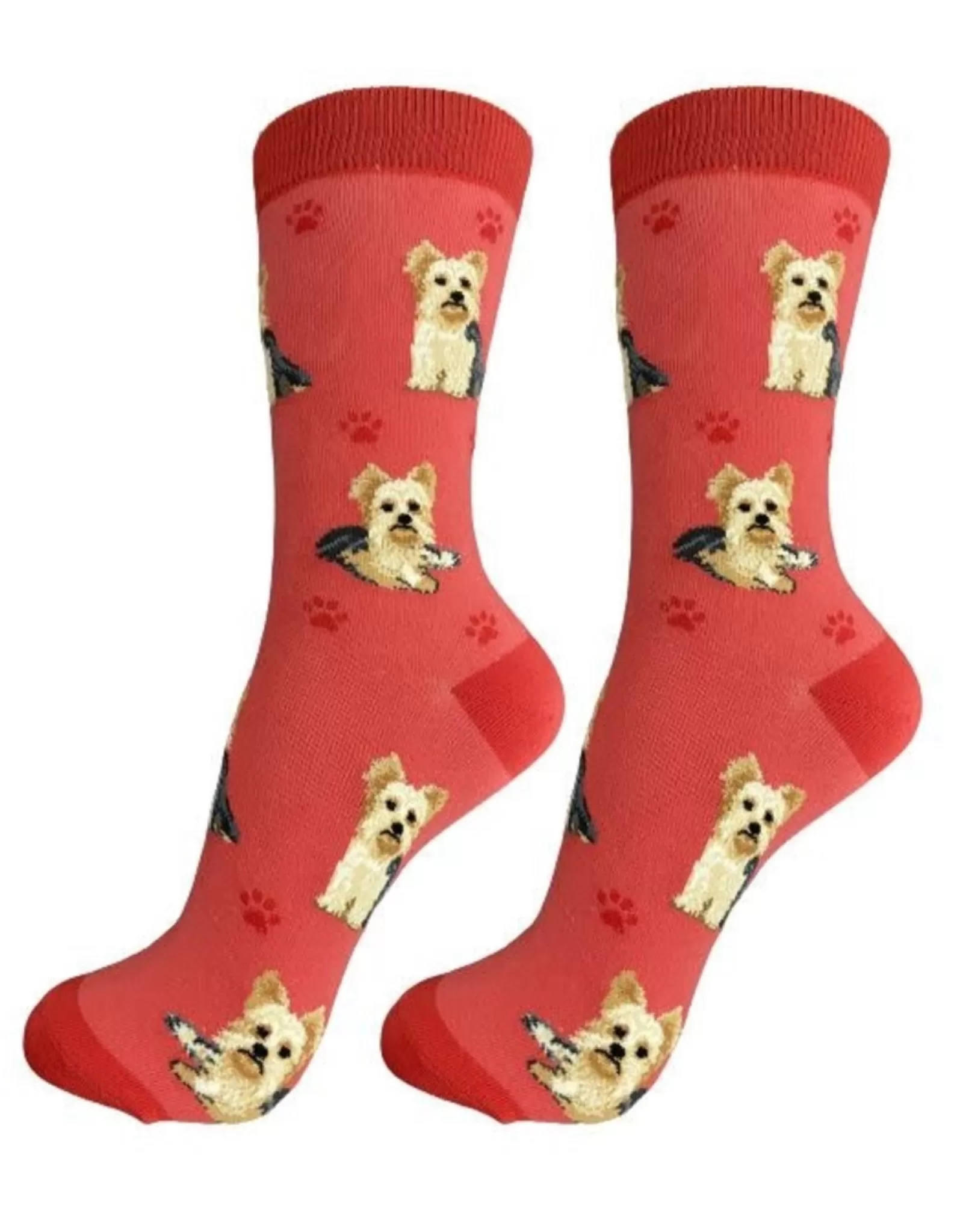 Chaussettes Intégrales Confort Douillet pour Yorkie - Collection Élégance Canine E&S Pets