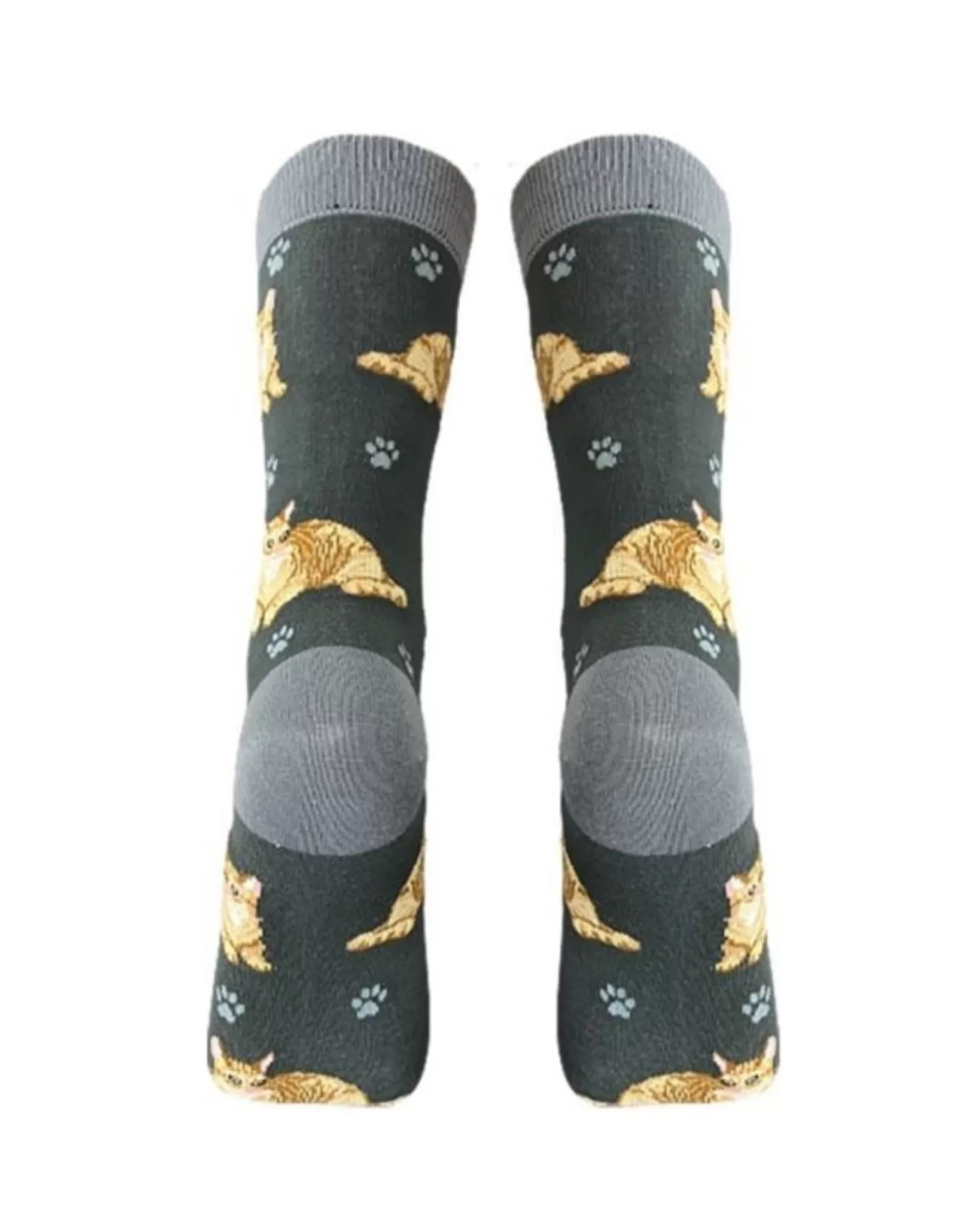 Chaussettes E&S Pets - Motif Mignon Chat Tigré Orange - Confortables et Douces pour Animaux