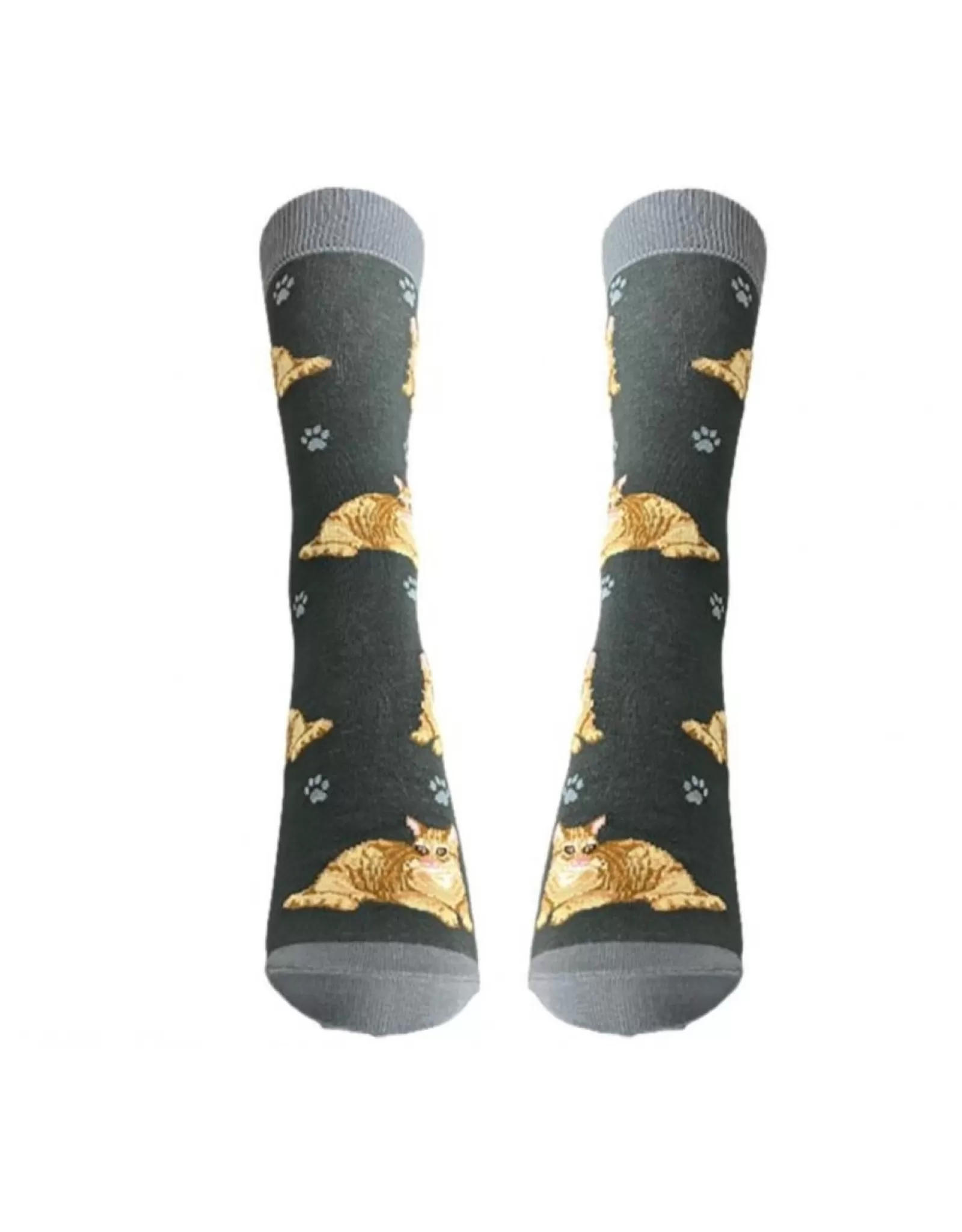 Chaussettes E&S Pets - Motif Mignon Chat Tigré Orange - Confortables et Douces pour Animaux