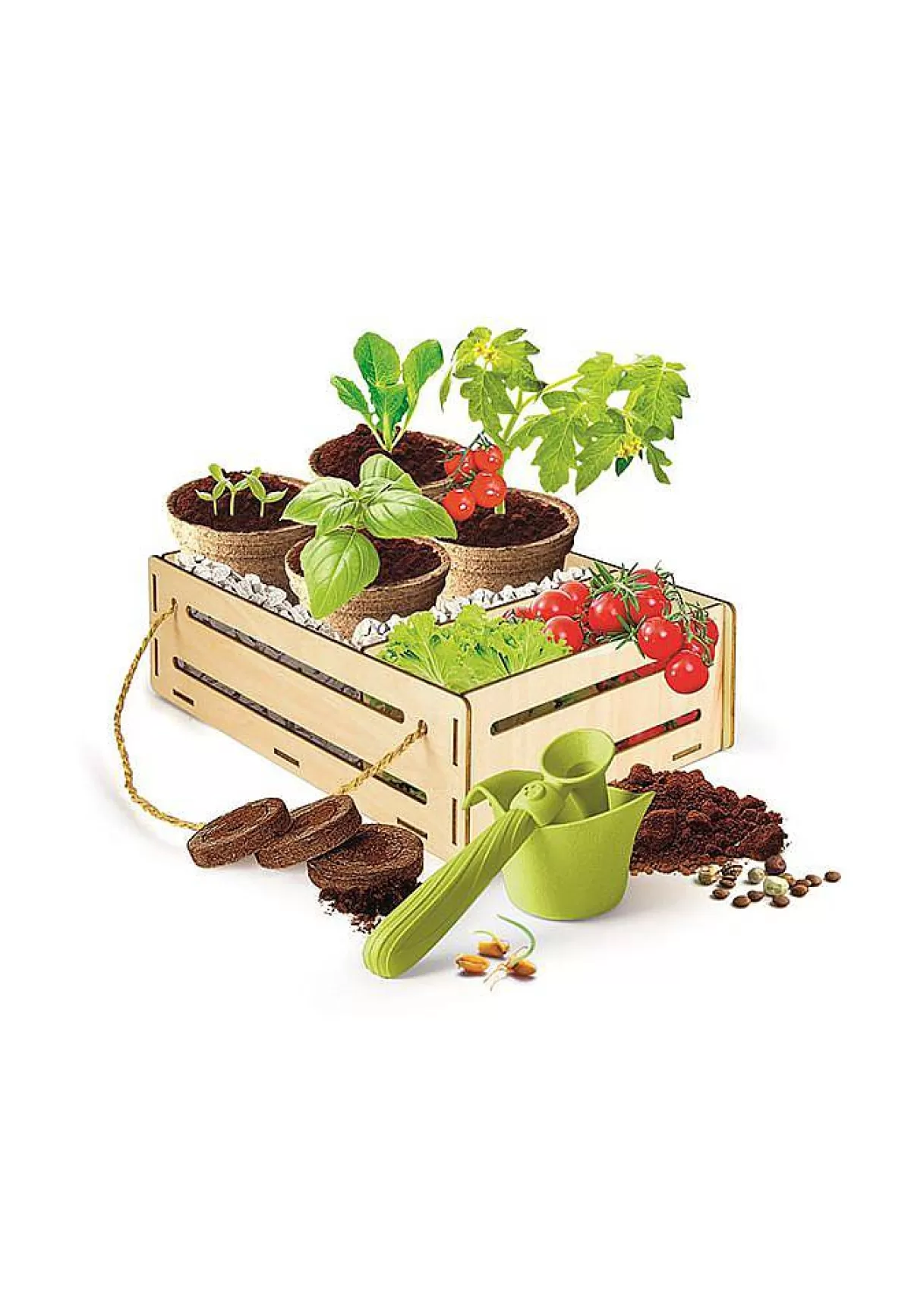 Clementoni - Kit Créatif Jardin & Potager Éducatif pour Enfants | Découverte Ludique de la Nature