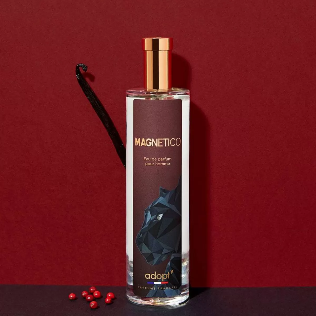 Parfum Magnétiko Élixir - Une Fragrance Envoûtante à Adopter Absolument