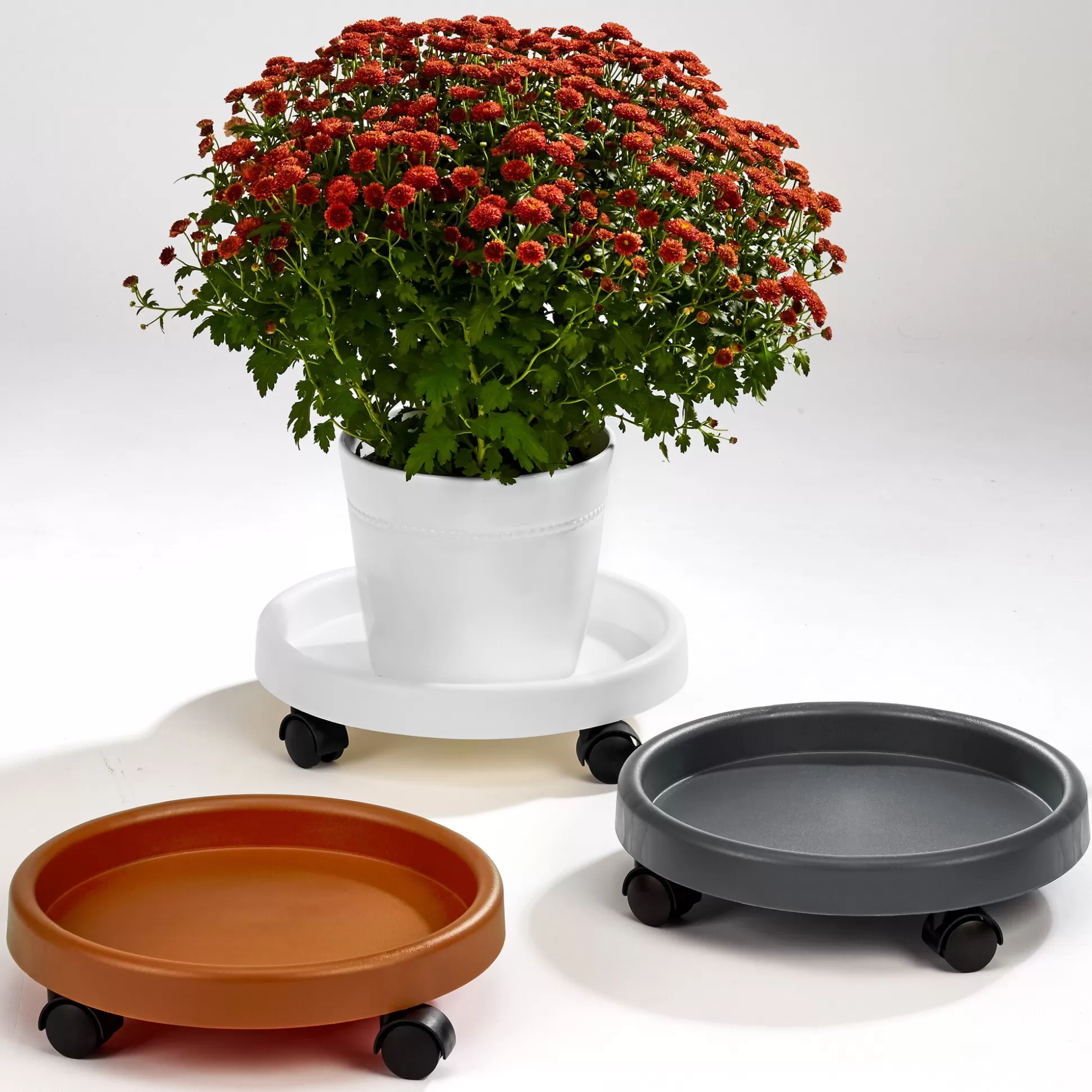 Plateau de Culture Ruco Blanc - Solution Modulable pour Jardinage Urbain