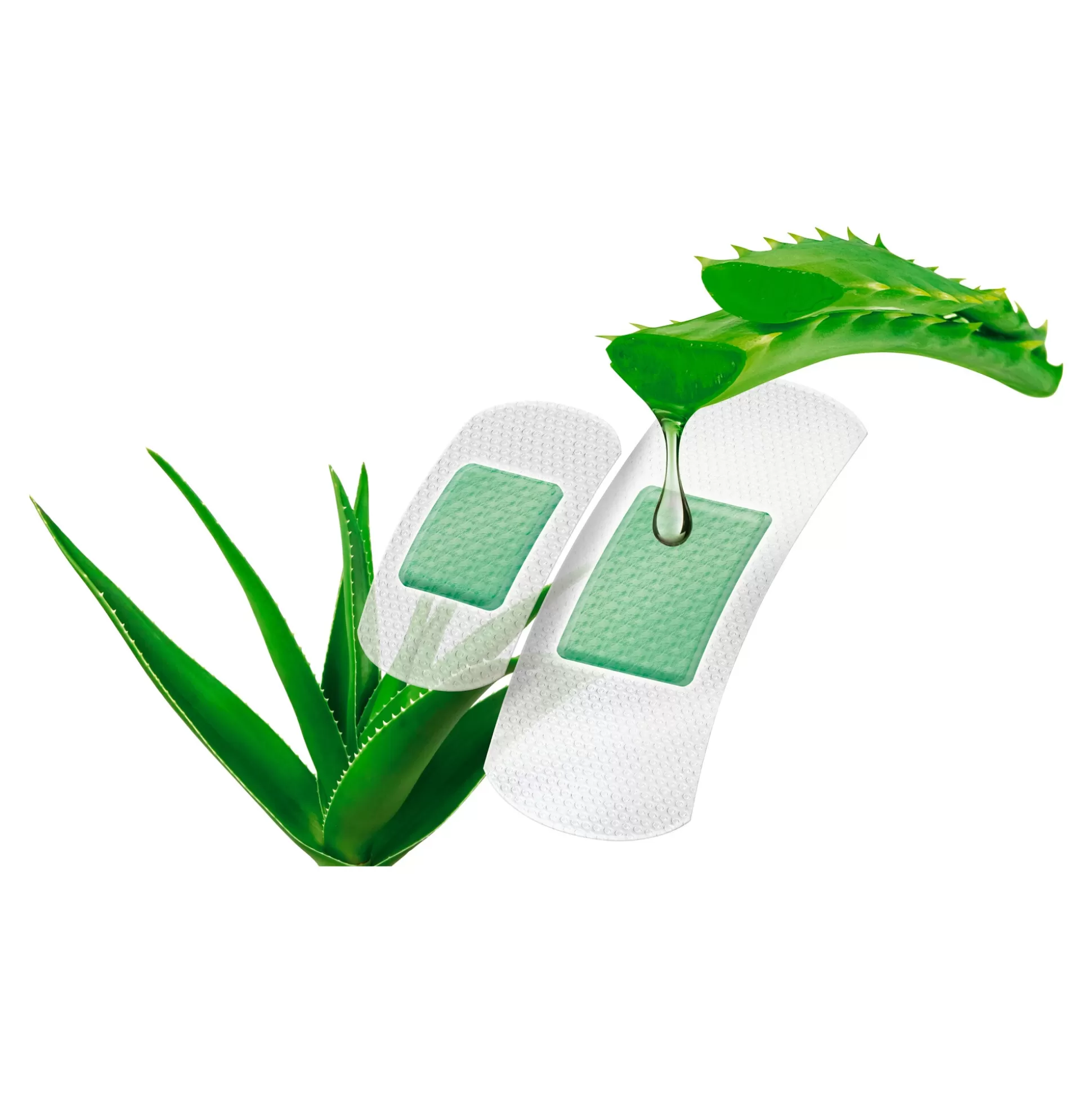 Pansements Hydratants Lifemed à l'Aloe Vera - 10 Unités, Doux pour la Peau avec Extraits Végétaux