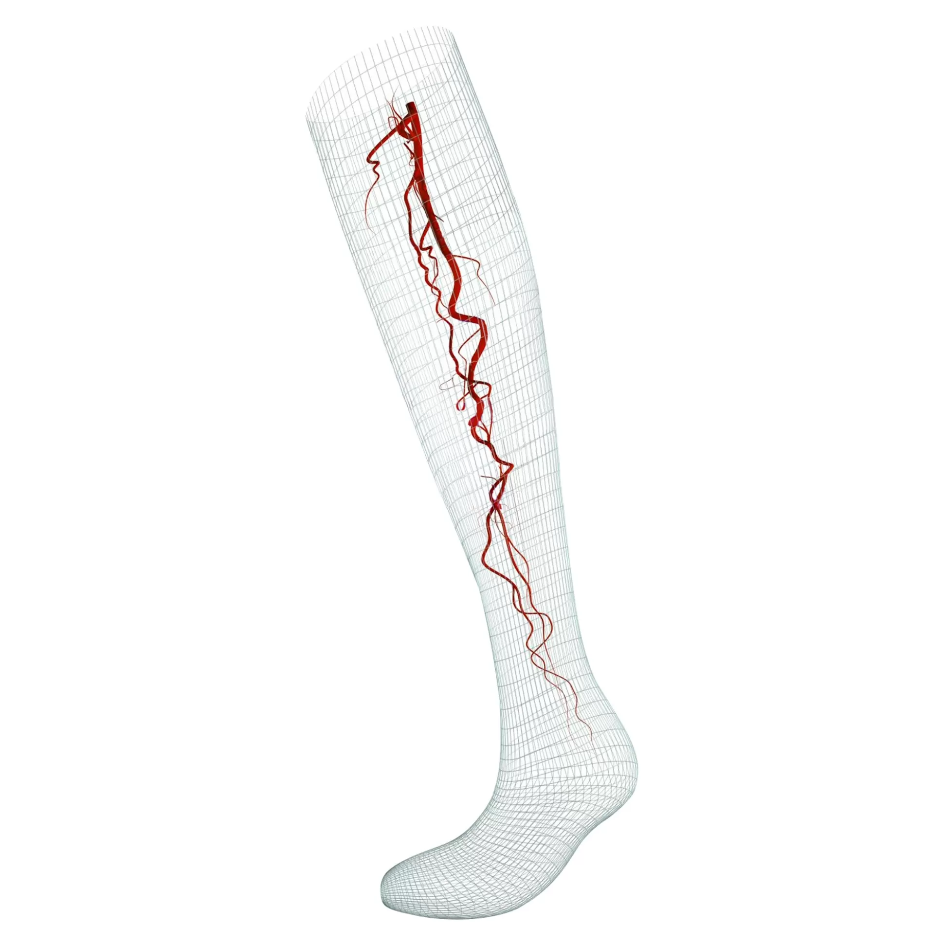 FUSSGUT – Chaussettes de Confort Vital et Bas de Voyage Noir – Soutien Léger pour Jambes Légères